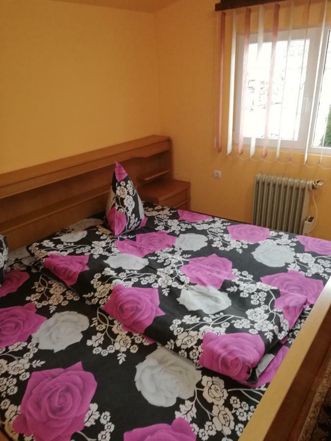 Pension, Camping & Biker Station Zur Deutschen Eiche Ciocanesti Dış mekan fotoğraf
